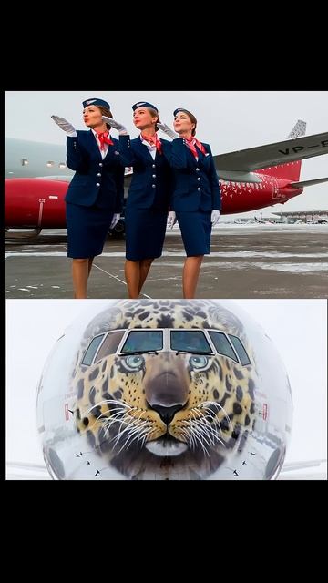 Почему 70 рейсов застряли в Пулково? Boeing 777 спас ситуаци смотреть онлайн