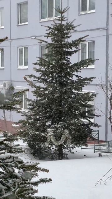 Прошлогодний снег. смотреть онлайн