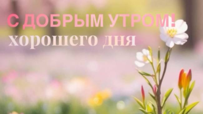 Открытки с добрым утром красивые пожелания 🌸