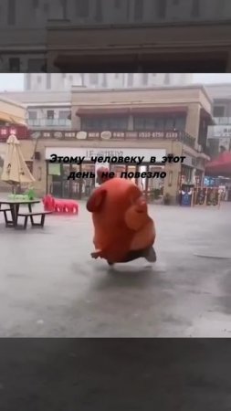 ¯\_(ツ)_/¯