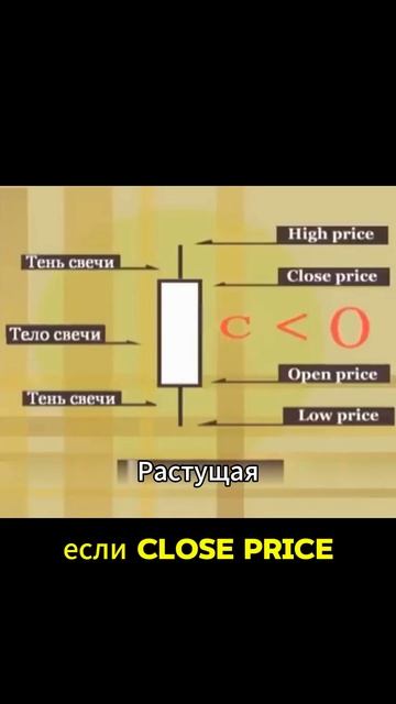 Как Читать Японские Свечи: Основы для Новичков!  #shorts #к