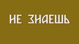 анимация теста 4.3.mp4