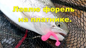Рыбалка на ФОРЕЛЬ. Урвала у погоды один день! #рыбалка #форель #fishing