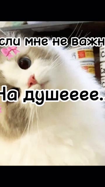 #рек #fur #рекомендации #текст #юлягаврилина #актив #можн? смотреть онлайн