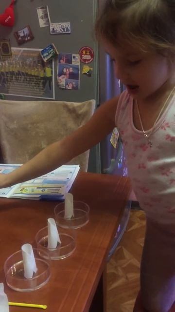 Поделка выращивание кристаллов смотреть онлайн