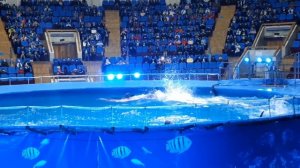 Ташкентский дельфинарий