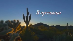 В пустыню