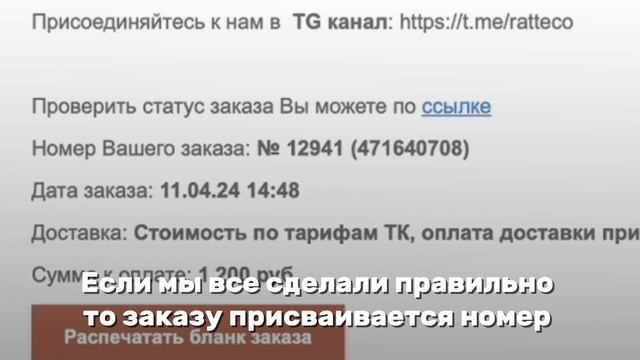 Инструкция "Как сделать заказ на ratteco-shop.ru" смотреть онлайн