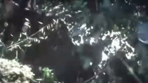 Все деньги мира