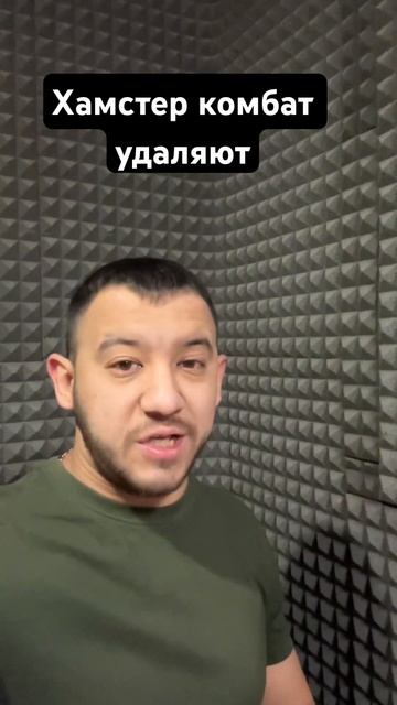 Хамстер комбат удаляют с криптобирж #криптовалюта смотреть онлайн