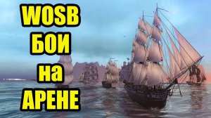 БОИ В АРЕНЕ WOSB  #wosb #fedorovplaying