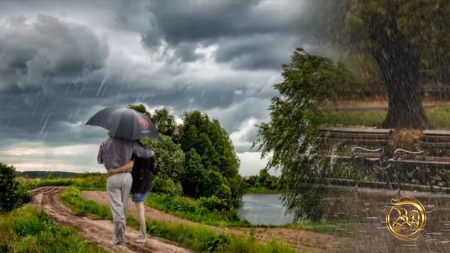 Дождь ливень потоп в программе DP Animation Maker