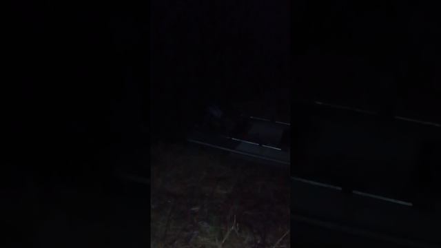 Полнолуние кругом оборотни! 🤣