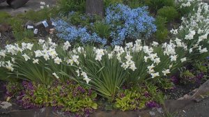 ДАЧА 8 мая 2025 г