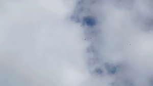 четвёрка бурых.