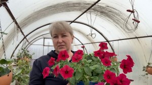 Огородно садовые работы. ПЕТУНЬЯ радует 🌸. Приготовила ОБЕД . Напекла БЛИНОВ.