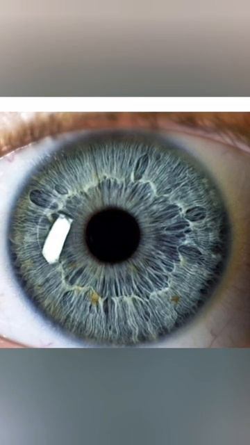 #рек #for #цвет #глаза #тренд #актив смотреть онлайн