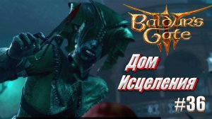 Baldur's Gate 3 часть 36 Дом Исцеления