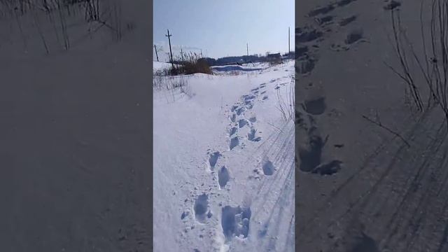 Поход в Книжный Клуб!Серия3,доплыл до моста смотреть онлайн