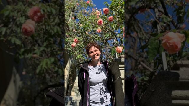 Севастополь - Феодосия - Севастополь. День рождения Эн? смотреть онлайн