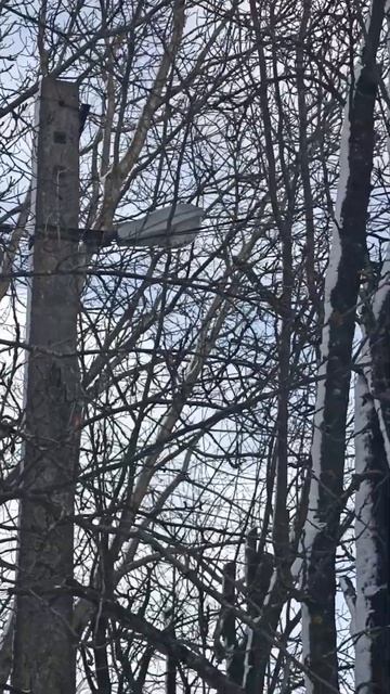 Світильник ЖКУ 01-70-004 Optima Cobra смотреть онлайн