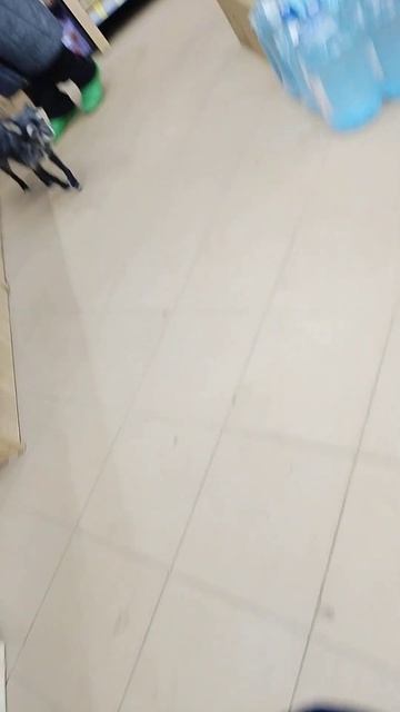 Чу-па-ка-бра в магаз тоже за провизией ходит🐸 смотреть онлайн