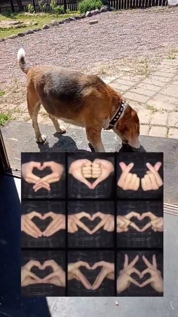 Виды сердечек из рук 💞 Кто всё смог? #рекомендации #вр смотреть онлайн