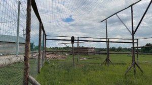 СПАСЕННЫЙ ОЛЕНЕНОК, НЕЯСЫТЬ, МЕДВЕДИ И МНОГИЕ ДРУГИЕ в центре реабилитации диких животных Сирин