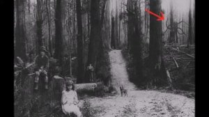 Существует ли Слендермен на самом деле