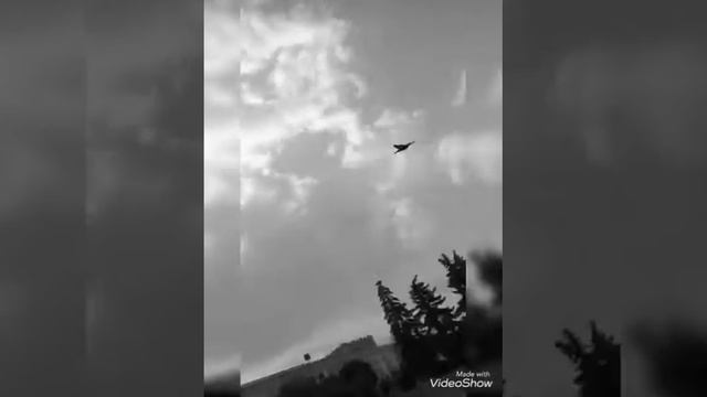 РАЗДАЕМ БУРГЕРЫ НА УЛИЦЕ И ДАРИМ ШАРИКИ смотреть онлайн