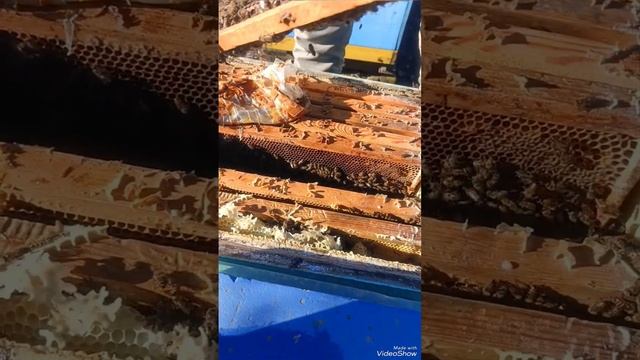 20 января 2025 прохождение эксперимента смотреть онлайн