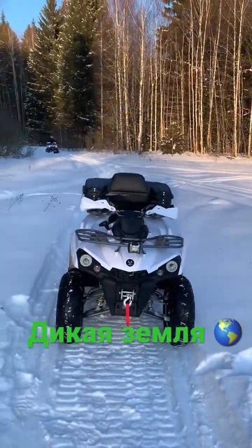 #баня #аренда #гриль #девушка #дрифт #еда #интересно #ква смотреть онлайн