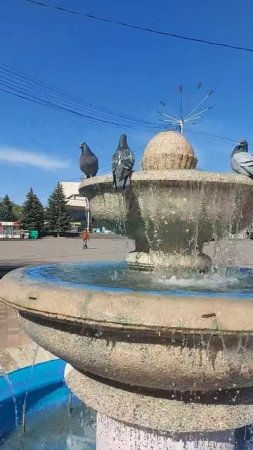 Доброе утро всем!