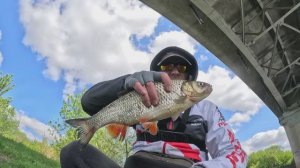 Укрупнился по приманкам и попал на голавлевое родео.Часть 1. #голавль #рыбалка #tsuyoki