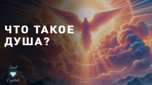 Устройство Души и ее проекция в теле и матрице человека.