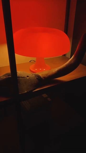 Небольшая, но очень ламповая коллекция освещения #cozyhom смотреть онлайн