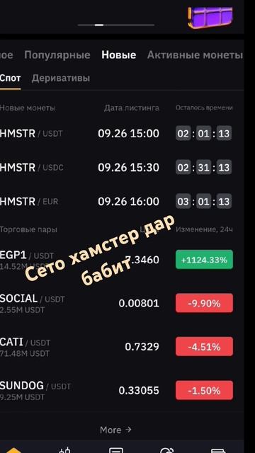 Хамстер цена 0.009🤣💣🌴 смотреть онлайн