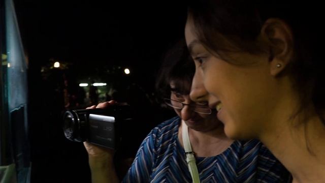 Адлер, океанариум 2022, черепахи смотреть онлайн