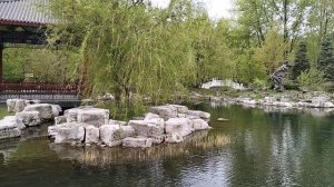 ОЗЕРО В КИТАЙСКОМ ПАРКЕ. МОСКВА