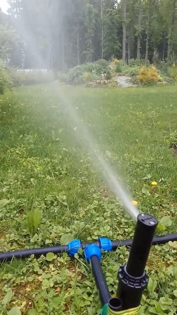 Автополив Москва. www.polivpro.ru