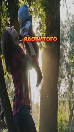 Как женщины видят цвет