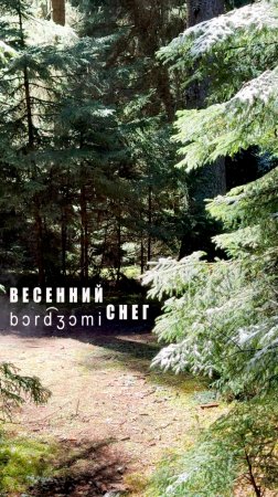 Весенний снег испаряется на Солнце #боржоми
