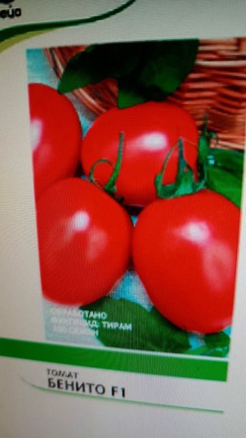 Самый лучший томат в мире 2025 г.!Высокоурожайный, вкусн? смотреть онлайн