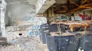 Особенности национальной охоты под Антоновским мостом
