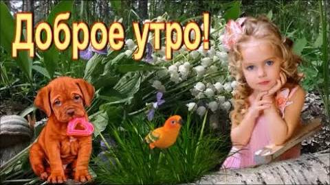 С Добрым Утром! Желаю Здоровья, Счастья и Добра! Музыкальная Открытка Пожелание!