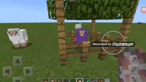 Переливающаяся овечка в Minecraft по имени jeb_