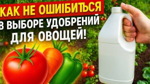 Как НЕ ошибиться в выборе удобрений для овощей! ТОП-10, которые сделают ваш огород райским уголком!