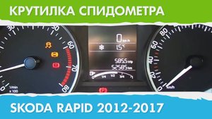 Крутилка, подмотка спидометра Шкода Рапид (поколение с 2012 г.)