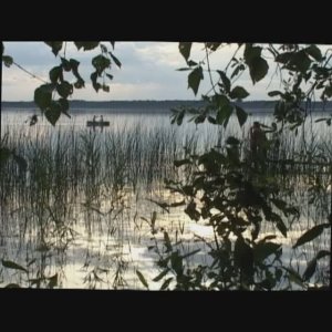 Лики воды