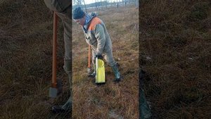 сбор ягод, эксперимент грабли на клюкве.